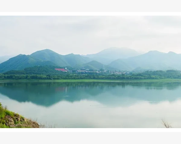 调理肺寒脾胃湿热，养生有道自健康